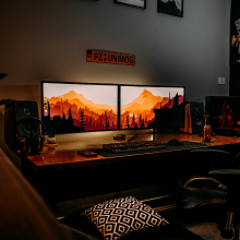 Monitor